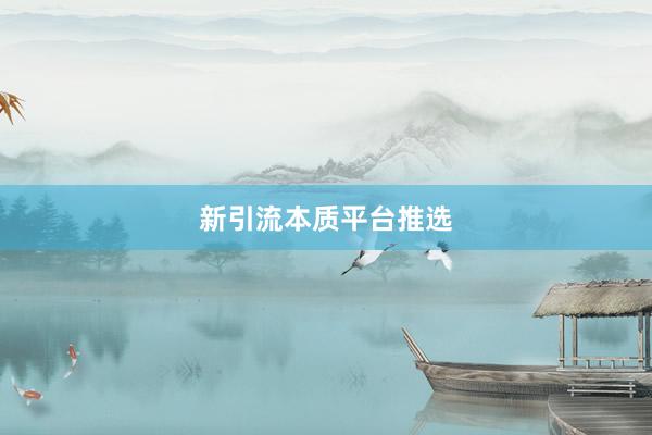新引流本质平台推选