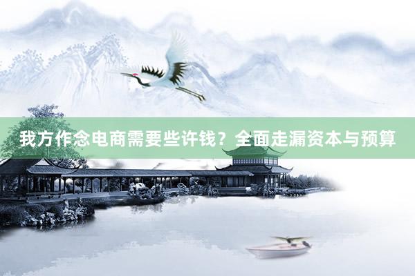 我方作念电商需要些许钱？全面走漏资本与预算