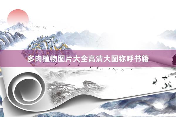 多肉植物图片大全高清大图称呼书籍